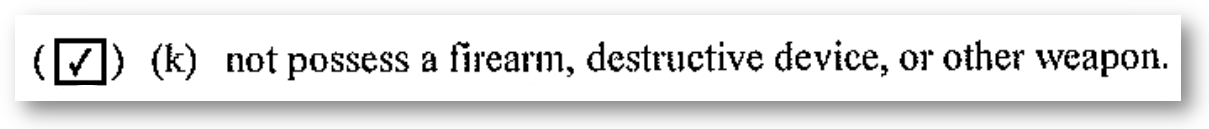 (Checked checkbox) (k) not possess a firearm, destructive device, or other weapon