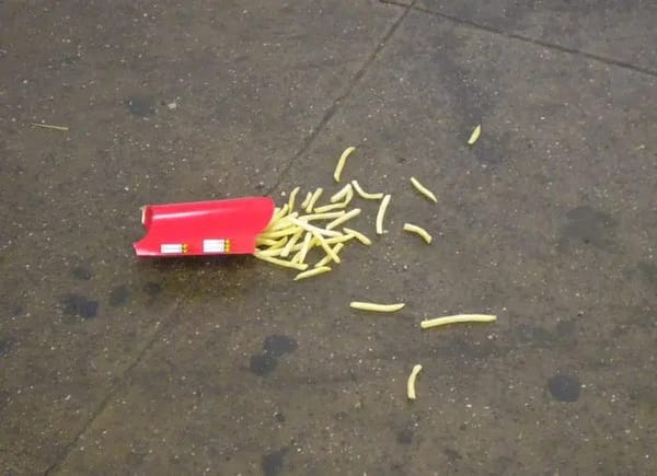 Issue 8 – French fry fiascos
